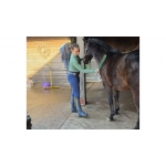 Parallax NimBrush Grooming Brush